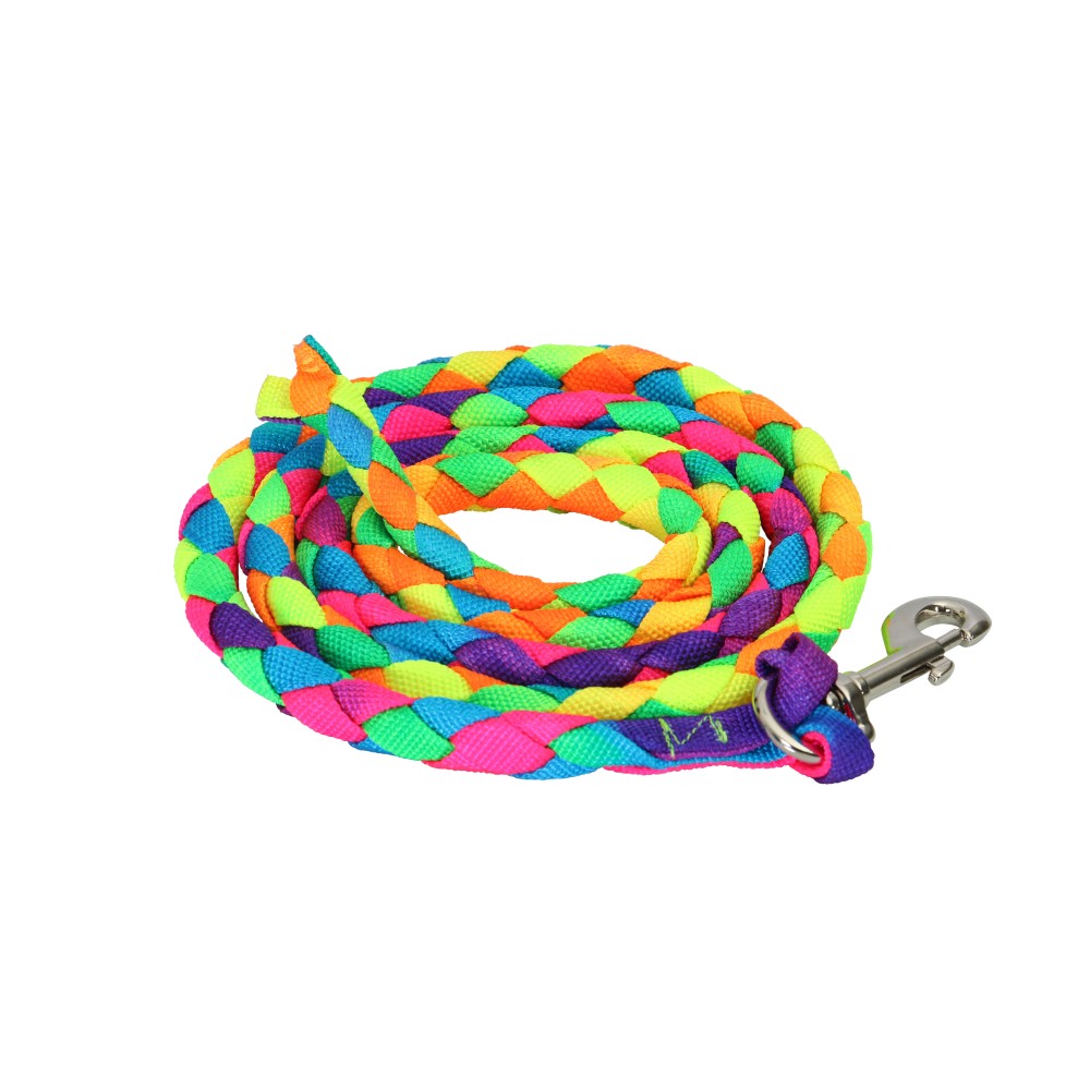 rainbow lead rope